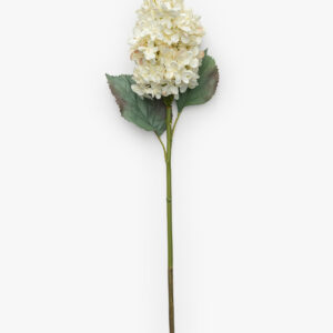 21" Cream Hydrangea